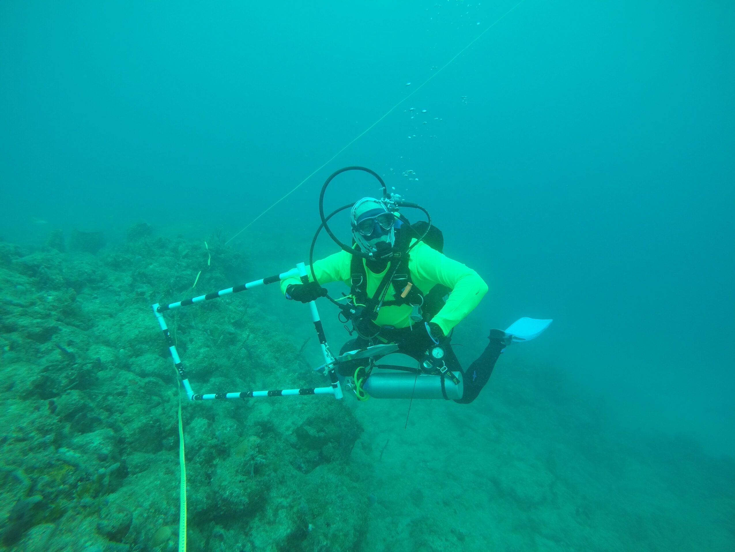 Scuba diver underwater with equipment, near ocean floor with coral or rocks.