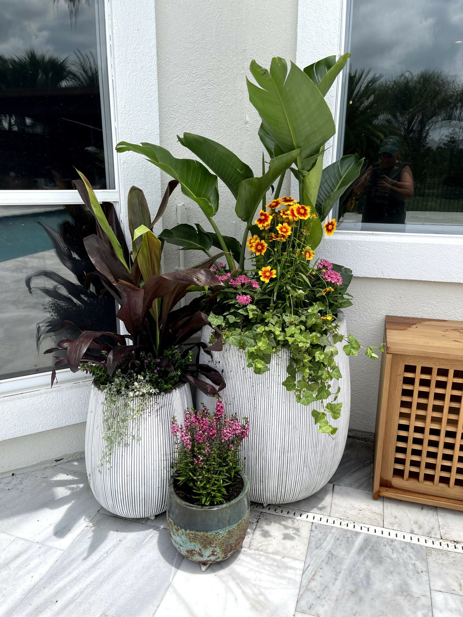 Three potted plants with green and purple leaves and colorful flowers on a windowsill outside a building.