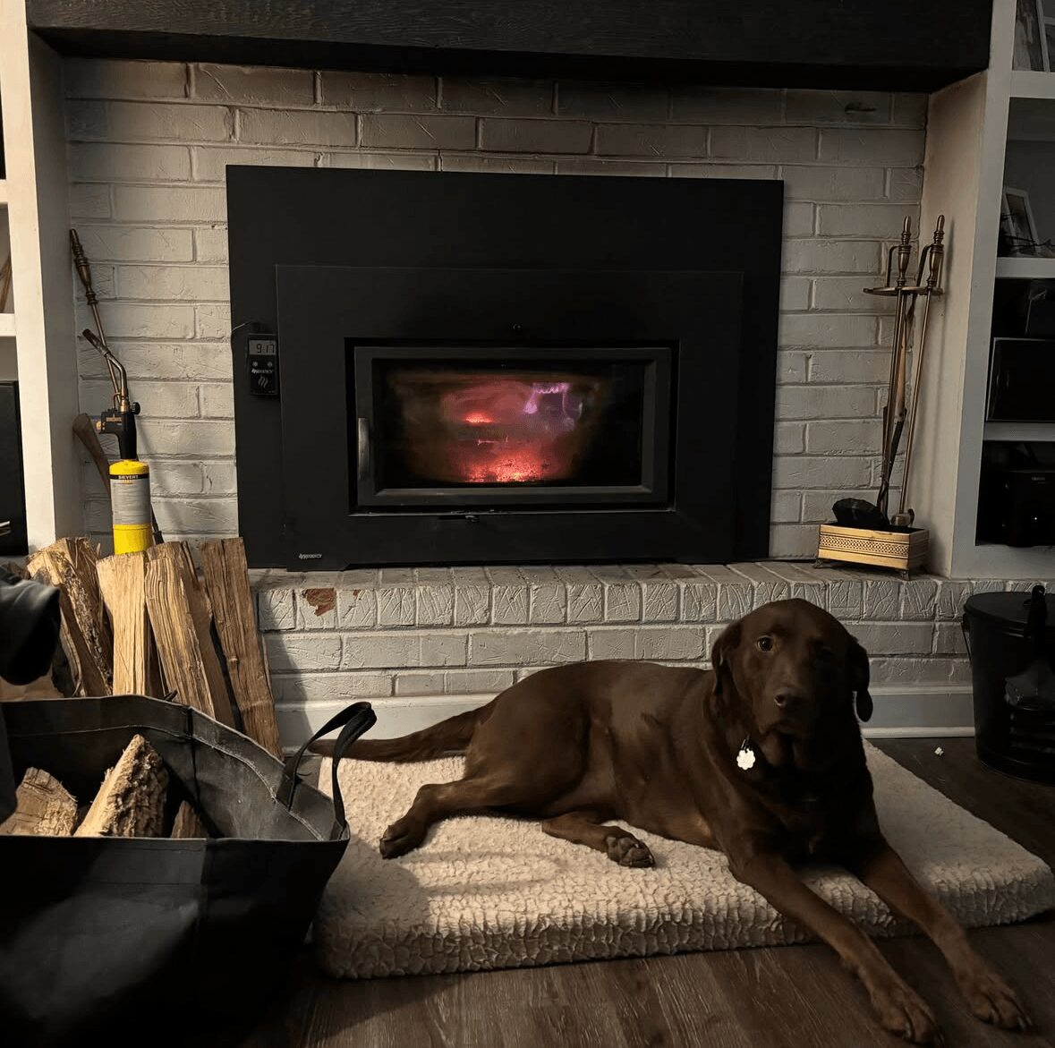 Brown dog lying on a rug in front of a fireplace with a brick wall background.