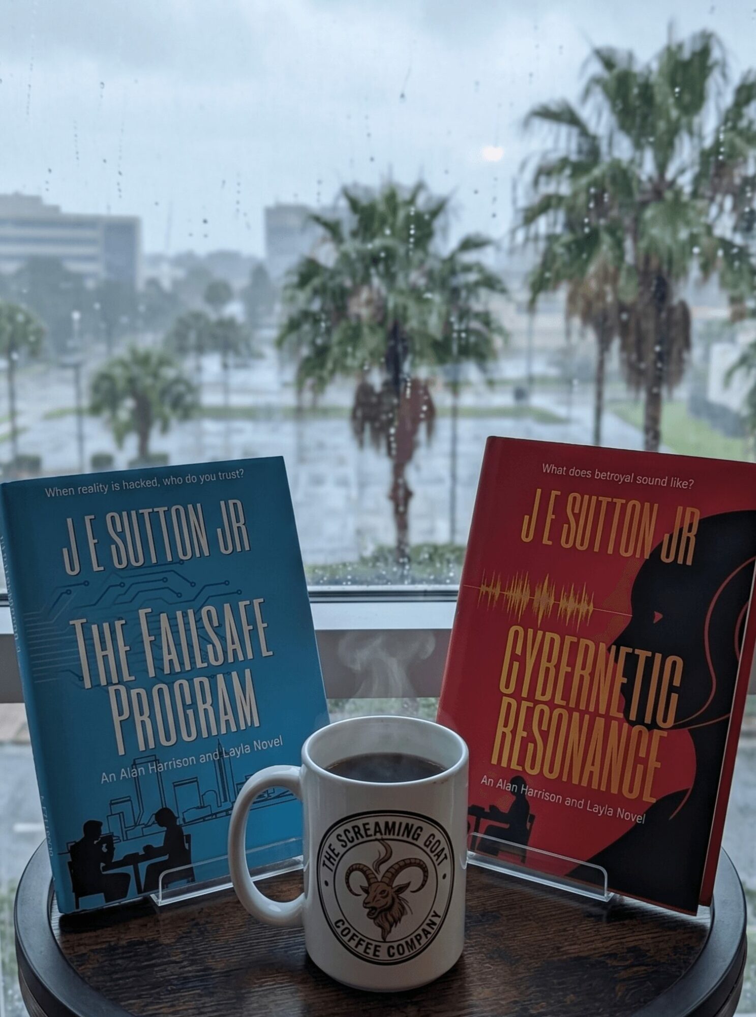 Two books and a coffee mug on a table with a rainy window and palm trees outside.
