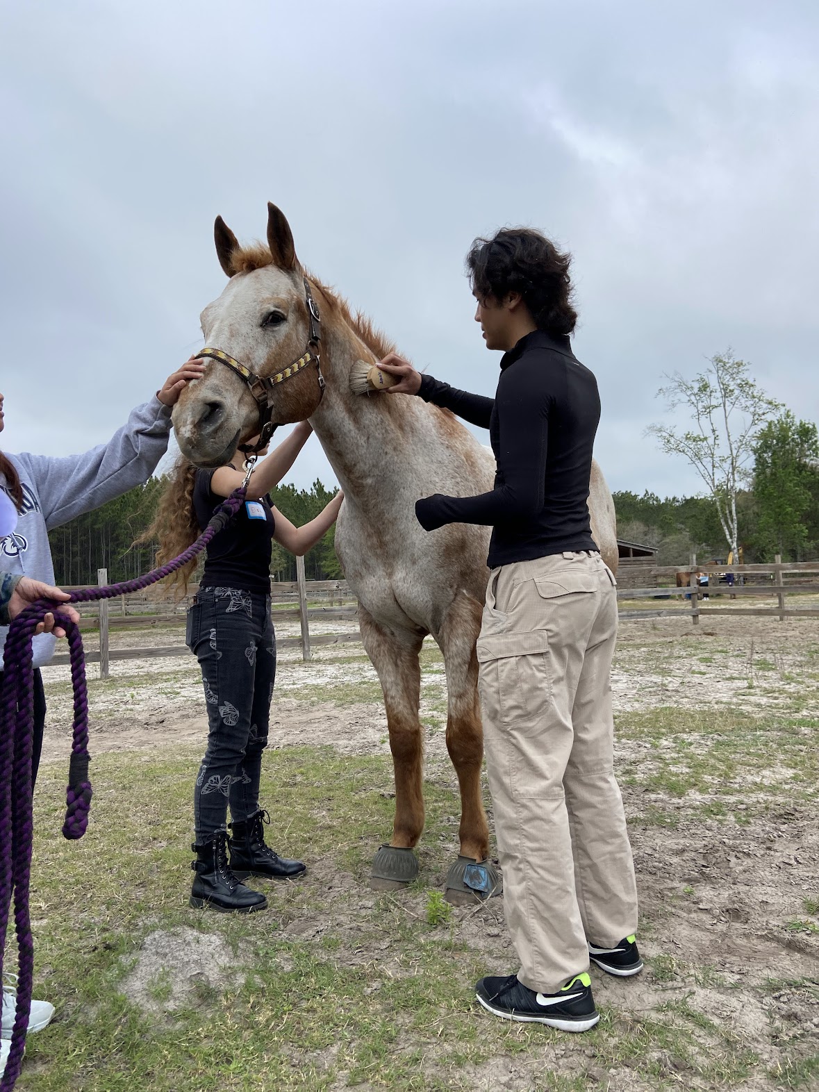 Two people hold a light-colored horse's head outdoors, with a person petting its neck, in a fenced area.