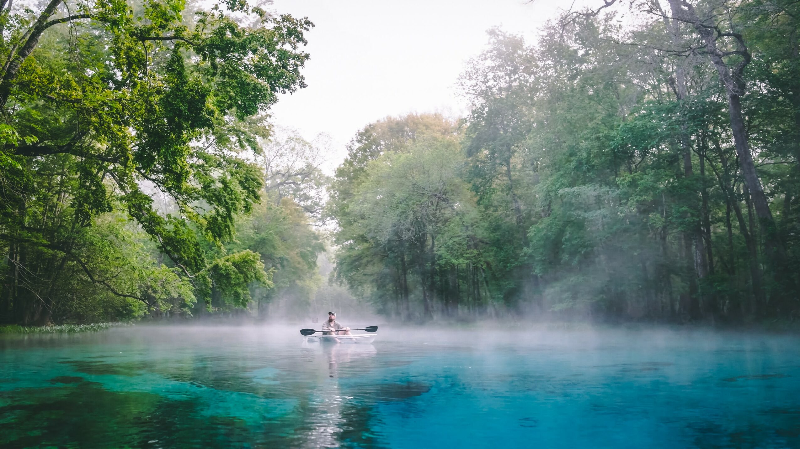 Calm river surrounded by lush green trees with mist rising from the water surface.