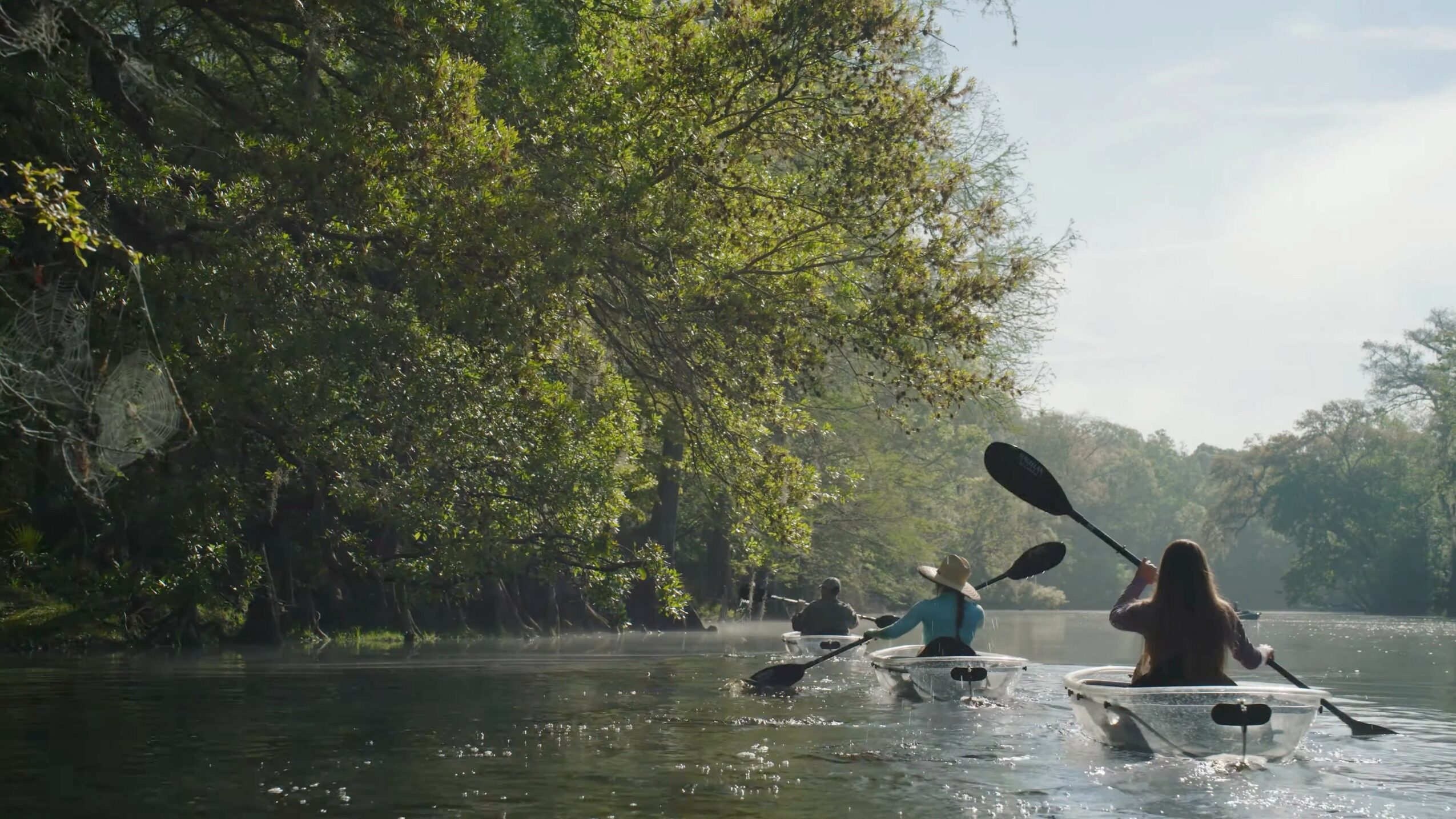 Two people kayaking on a calm river surrounded by trees with green leaves.