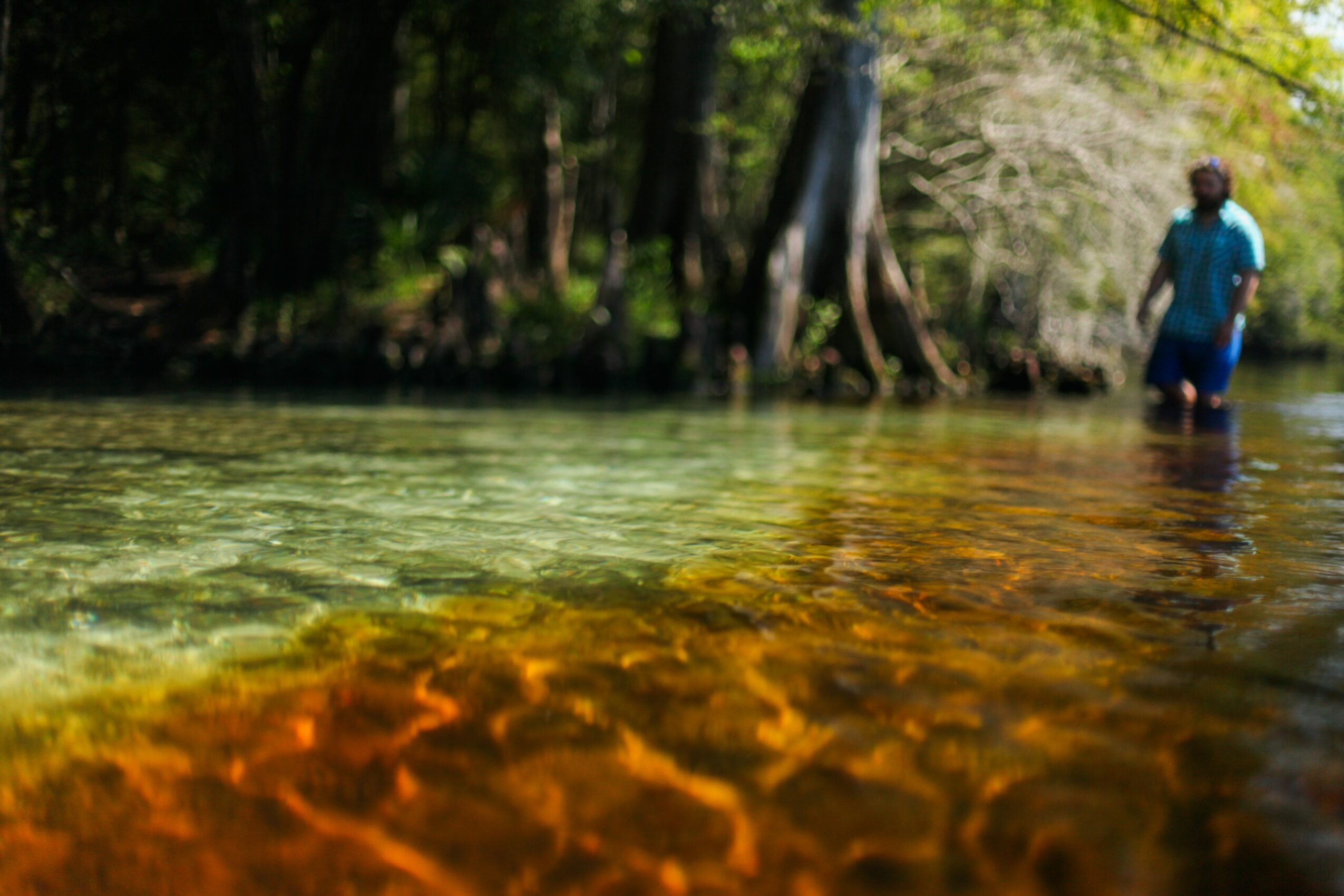 Person standing in a shallow river with trees and greenery in the background.