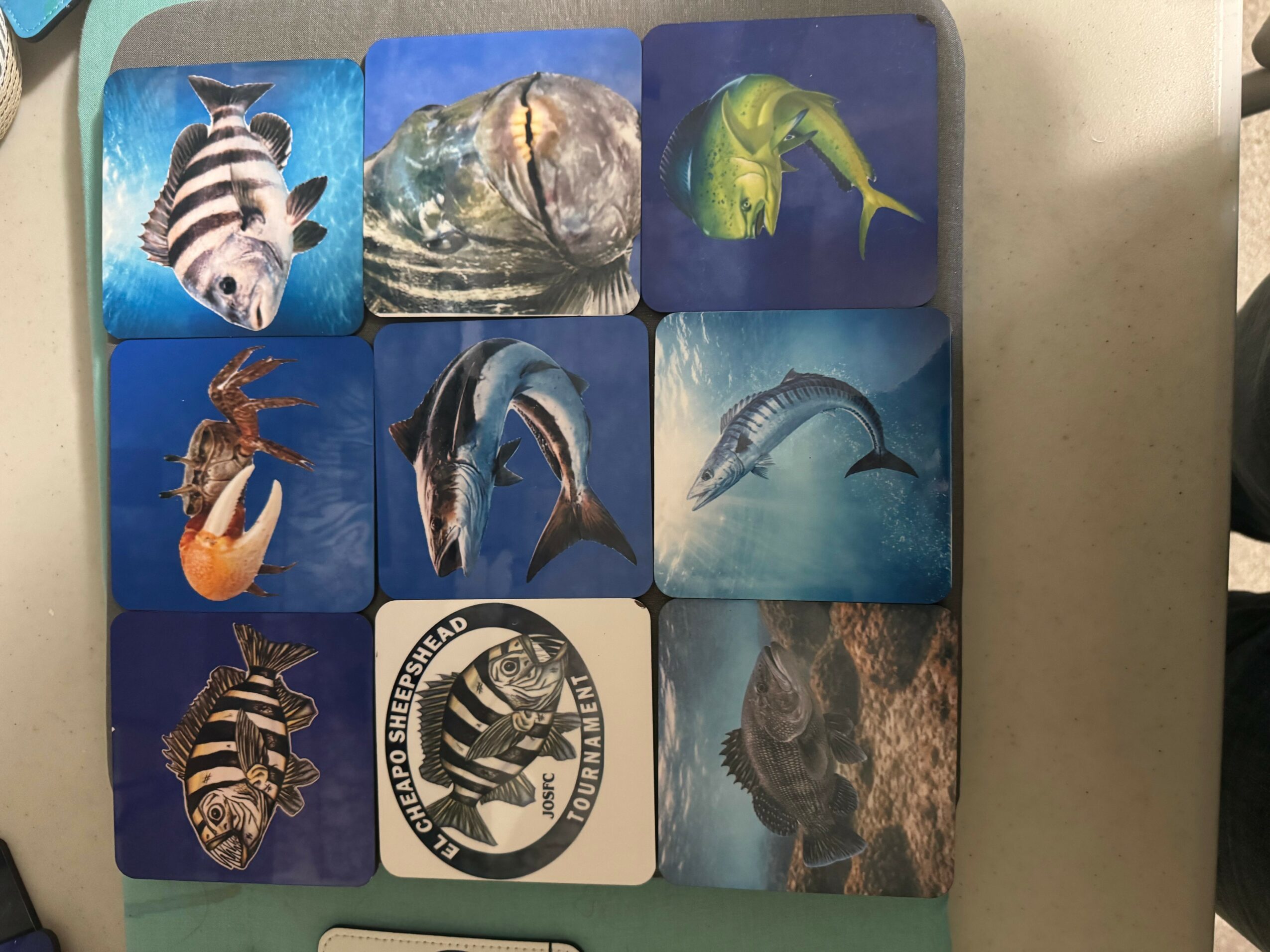 Nine cards with images of marine animals, including fish, a lobster, a shark, and a turtle, arranged in a 3x3 grid.