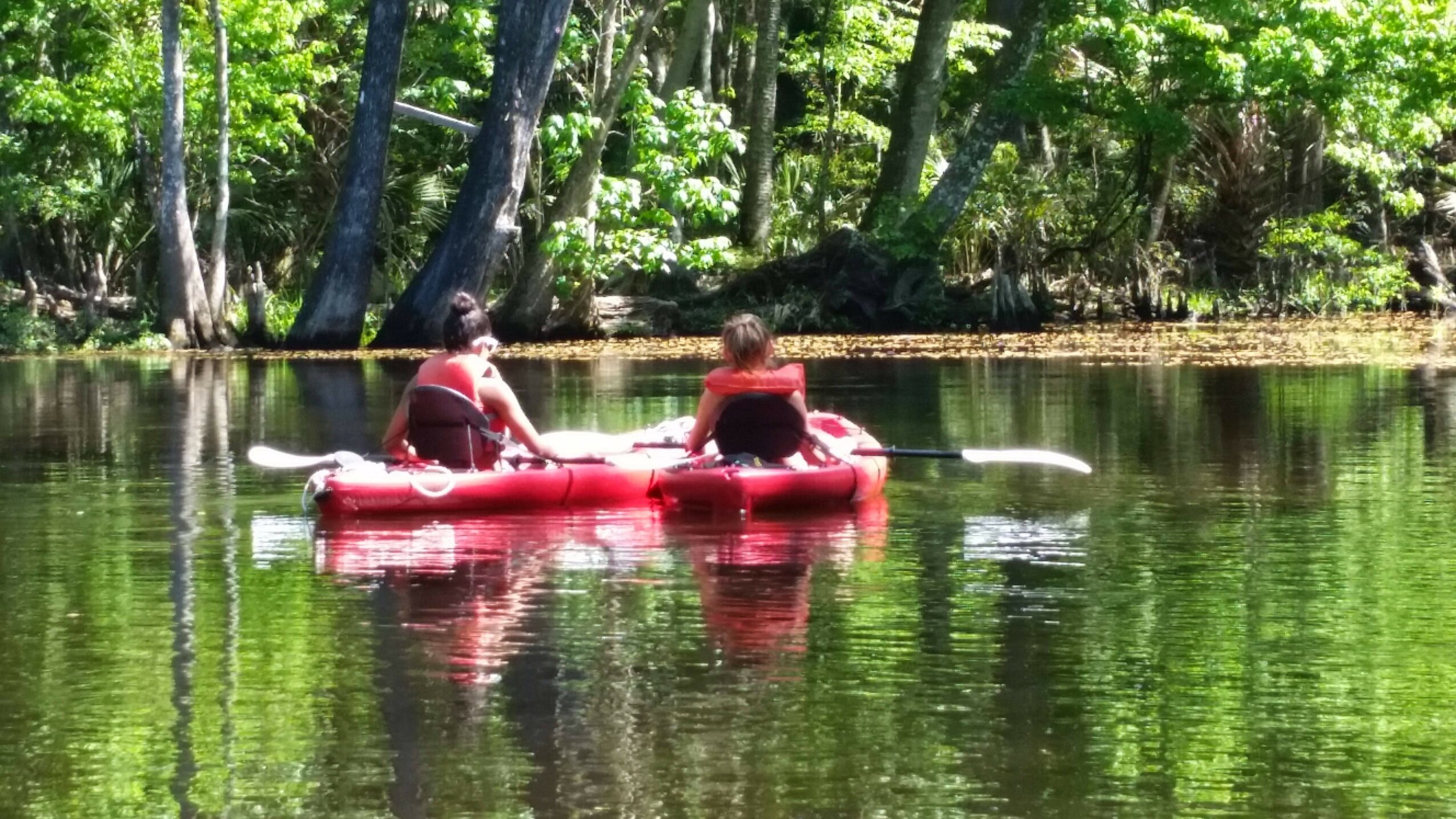 Two people in a red kayak on a calm river surrounded by green trees.