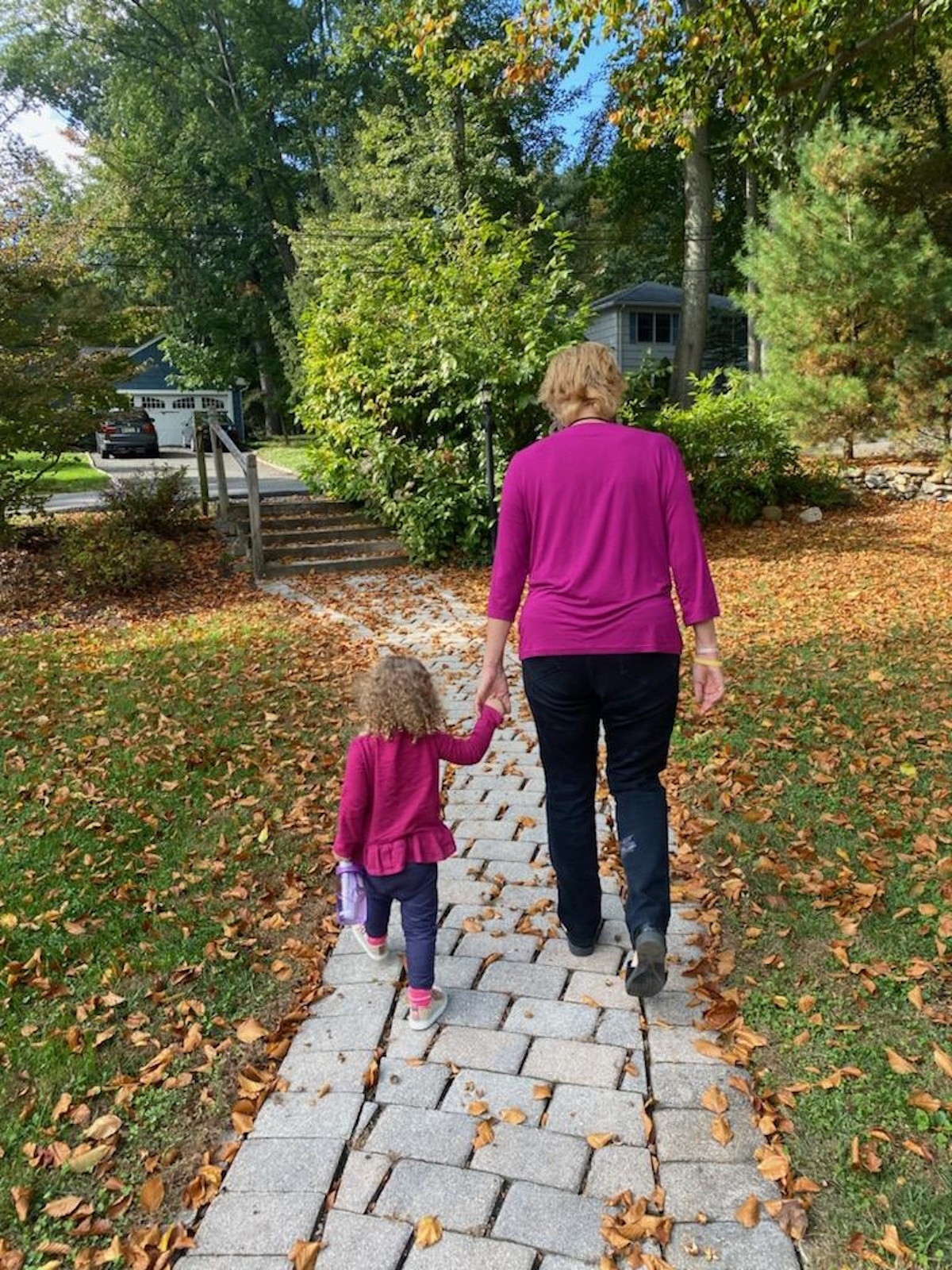 Adult and child walking hand in hand on a stone pathway in a park with trees and fallen leaves.