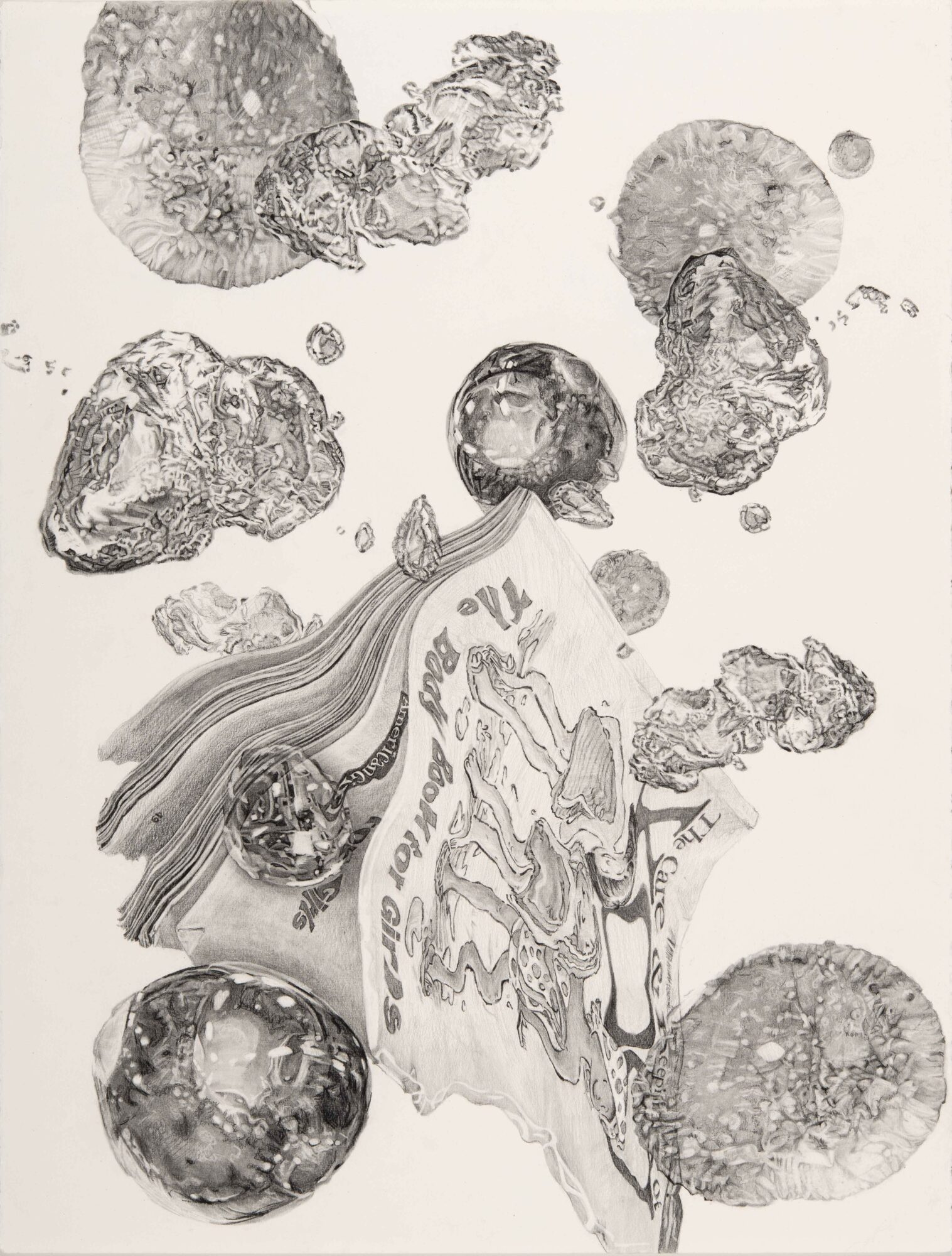 Abstract black and white image with various textured circular shapes and flowing lines, some resembling organic forms or rocks.
