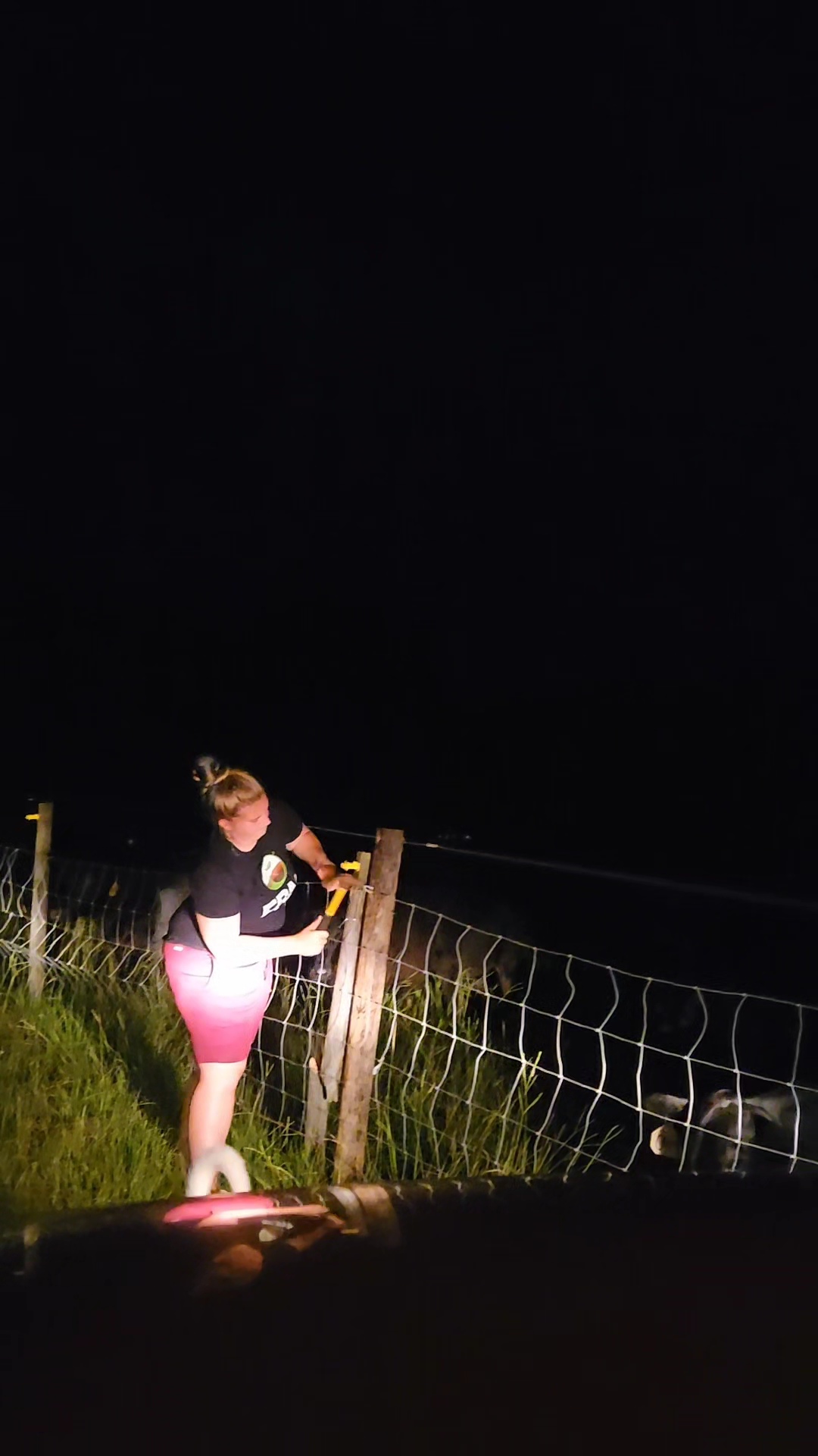 Person standing by a fence at night, holding a yellow object, with a dark sky and ocean in the background.