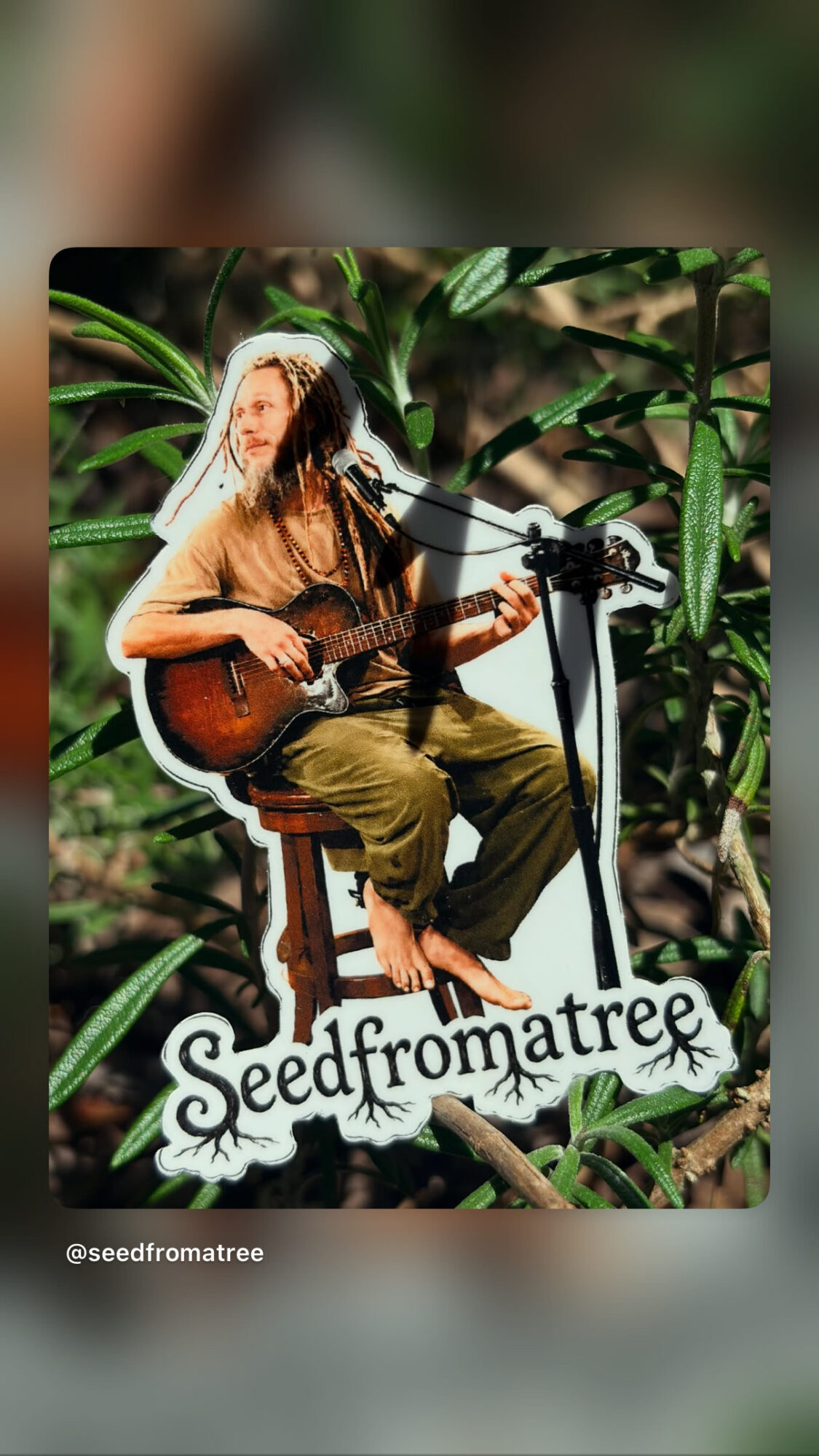 Person with long hair playing guitar and singing into a microphone outdoors surrounded by green plants.