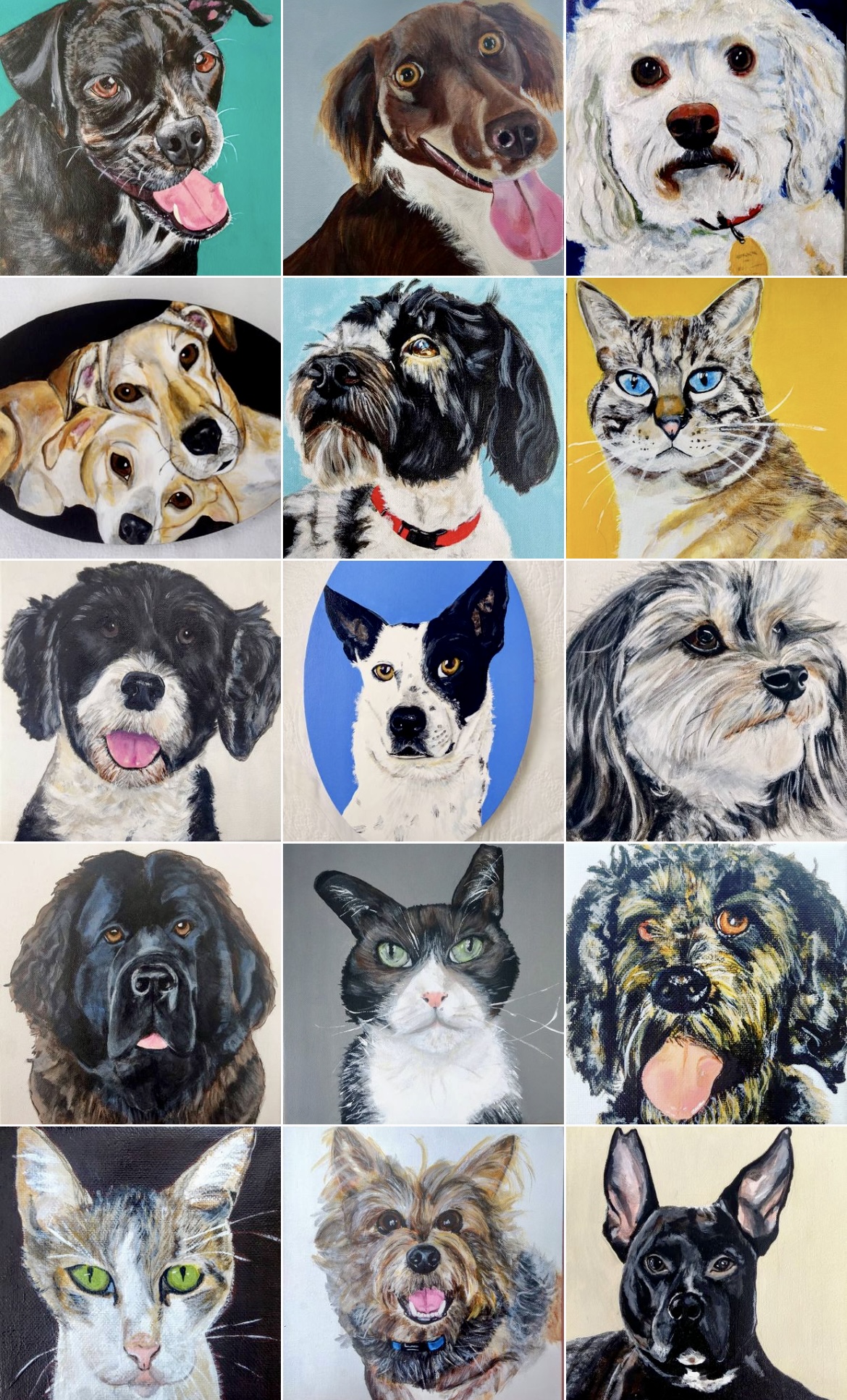 Collage of twelve animals including dogs, cats, and a rabbit, with colorful backgrounds and various breeds and expressions.