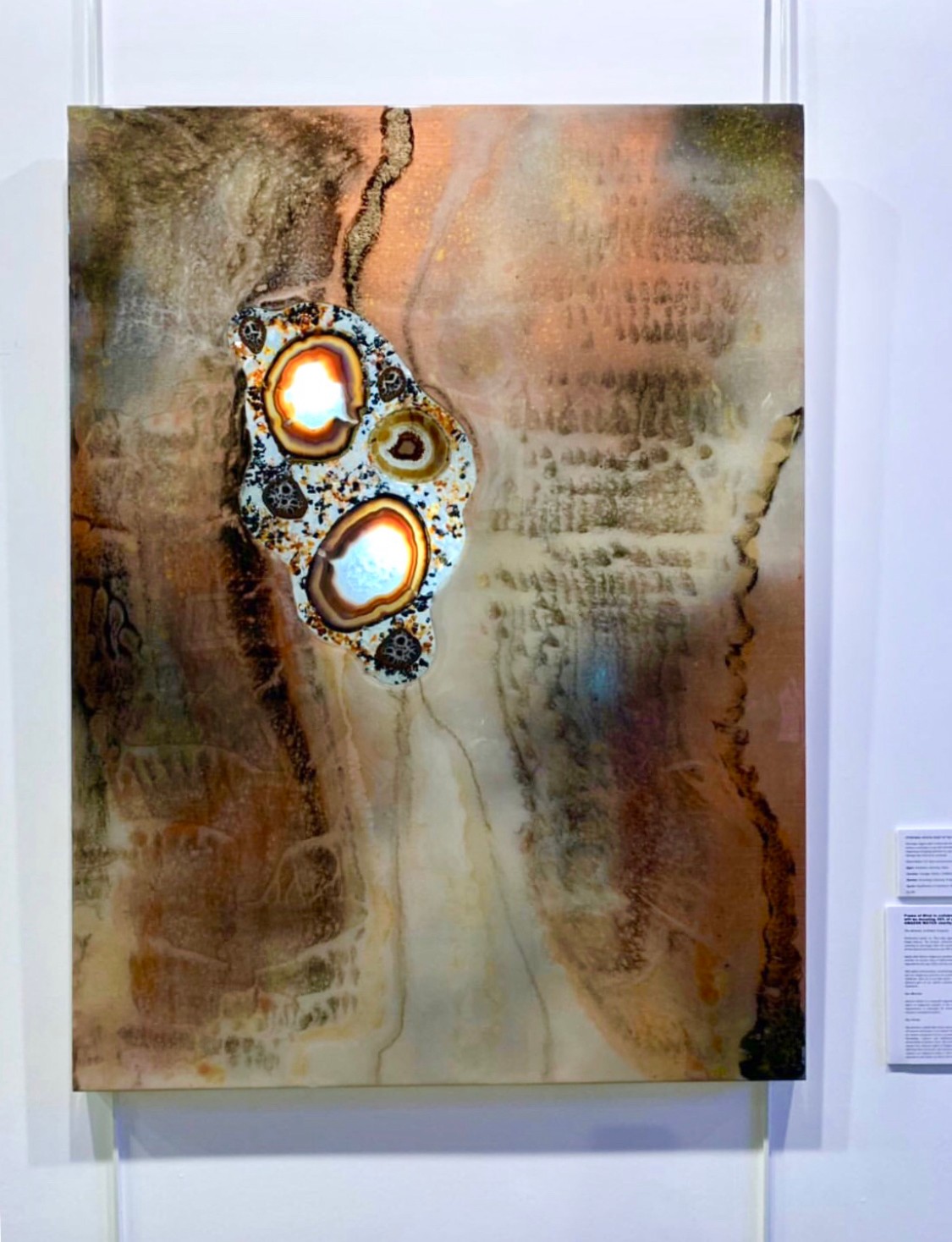 Abstract artwork with circular patterns and earthy tones, hanging on a white wall with a label beside it.