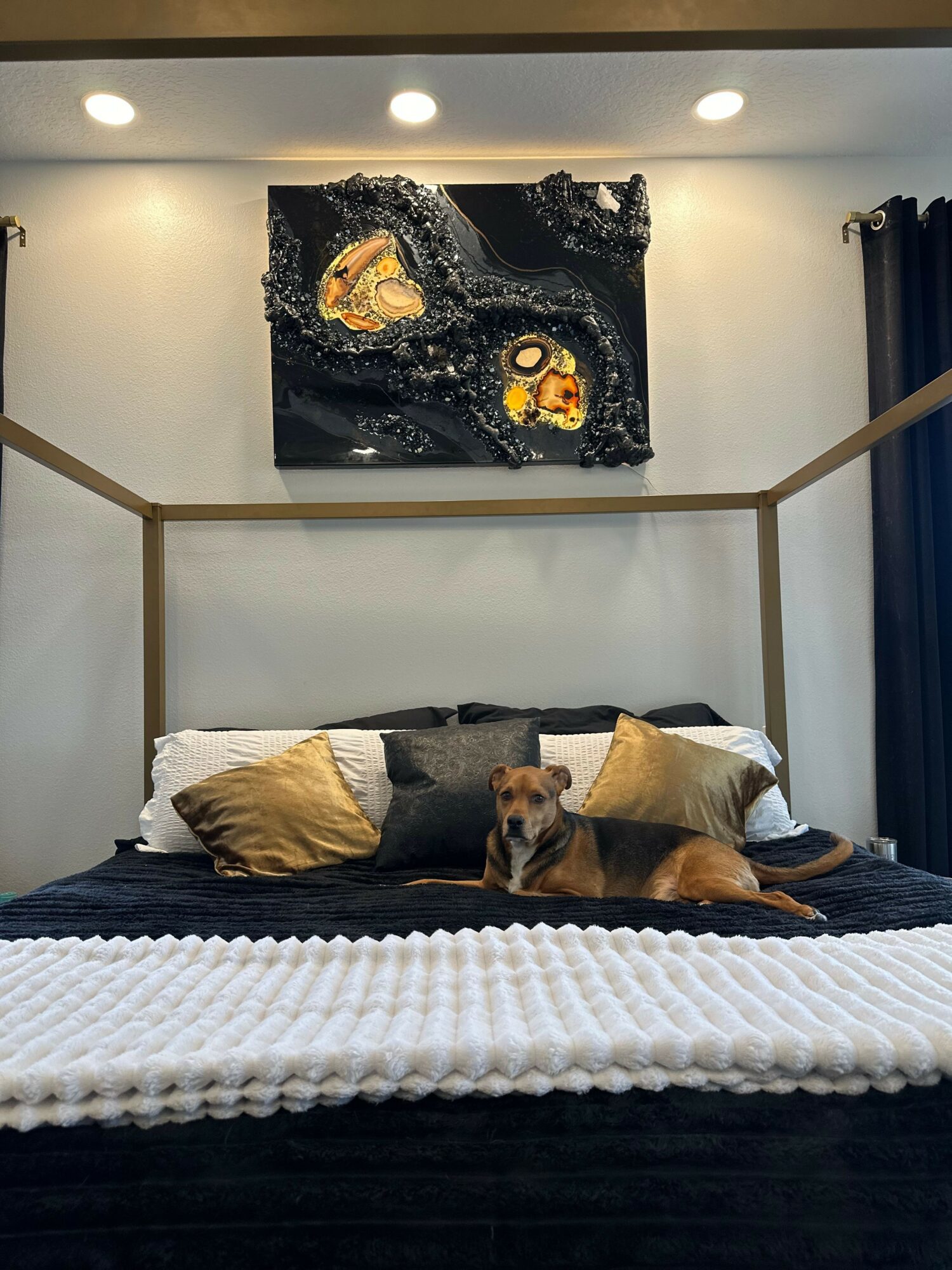 Dog lying on a bed with pillows, in a room with a black and white abstract painting on the wall.