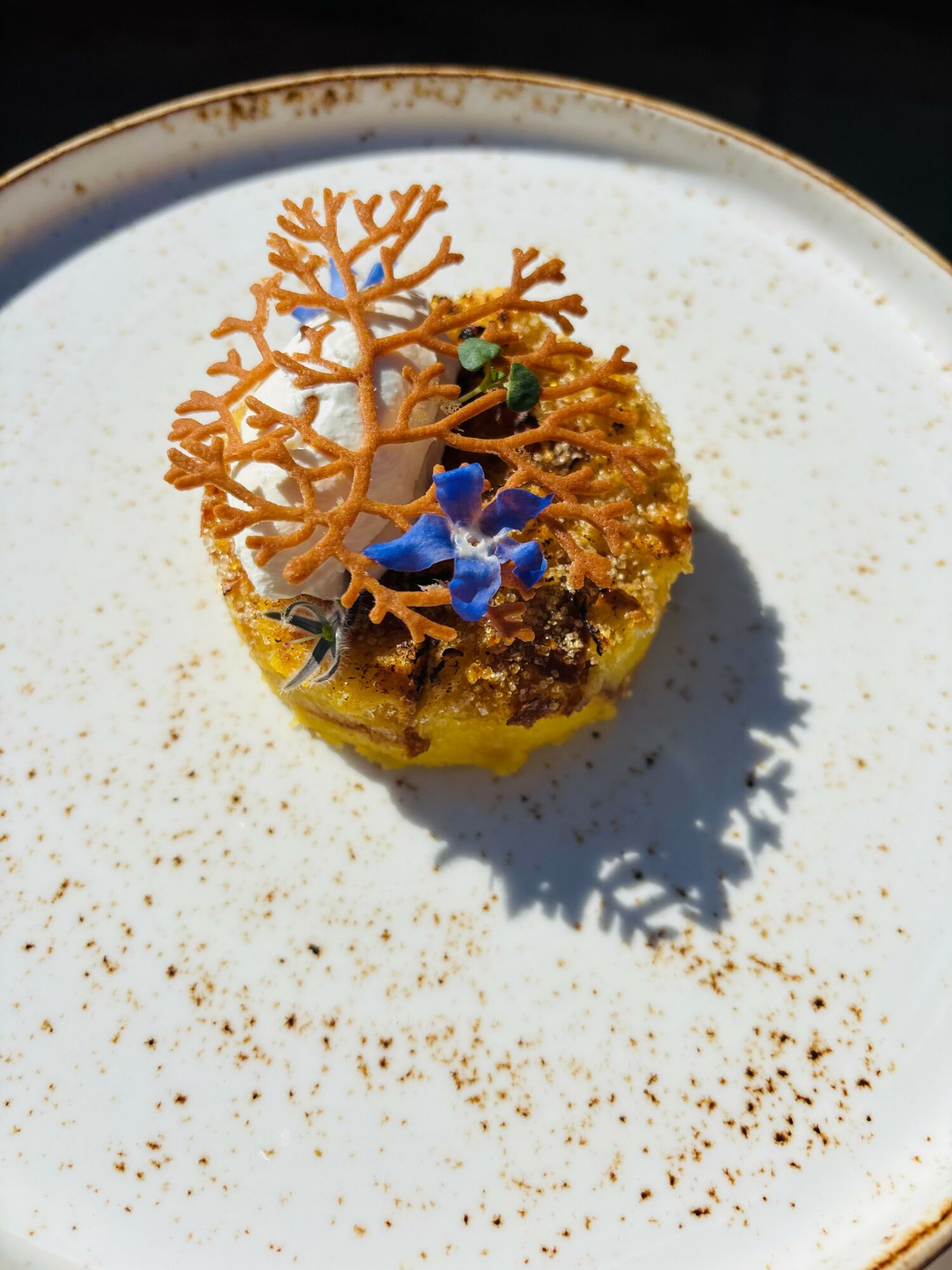 A plated dessert with a yellow base, decorated with orange coral-like structures and blue edible flowers, on a white plate.