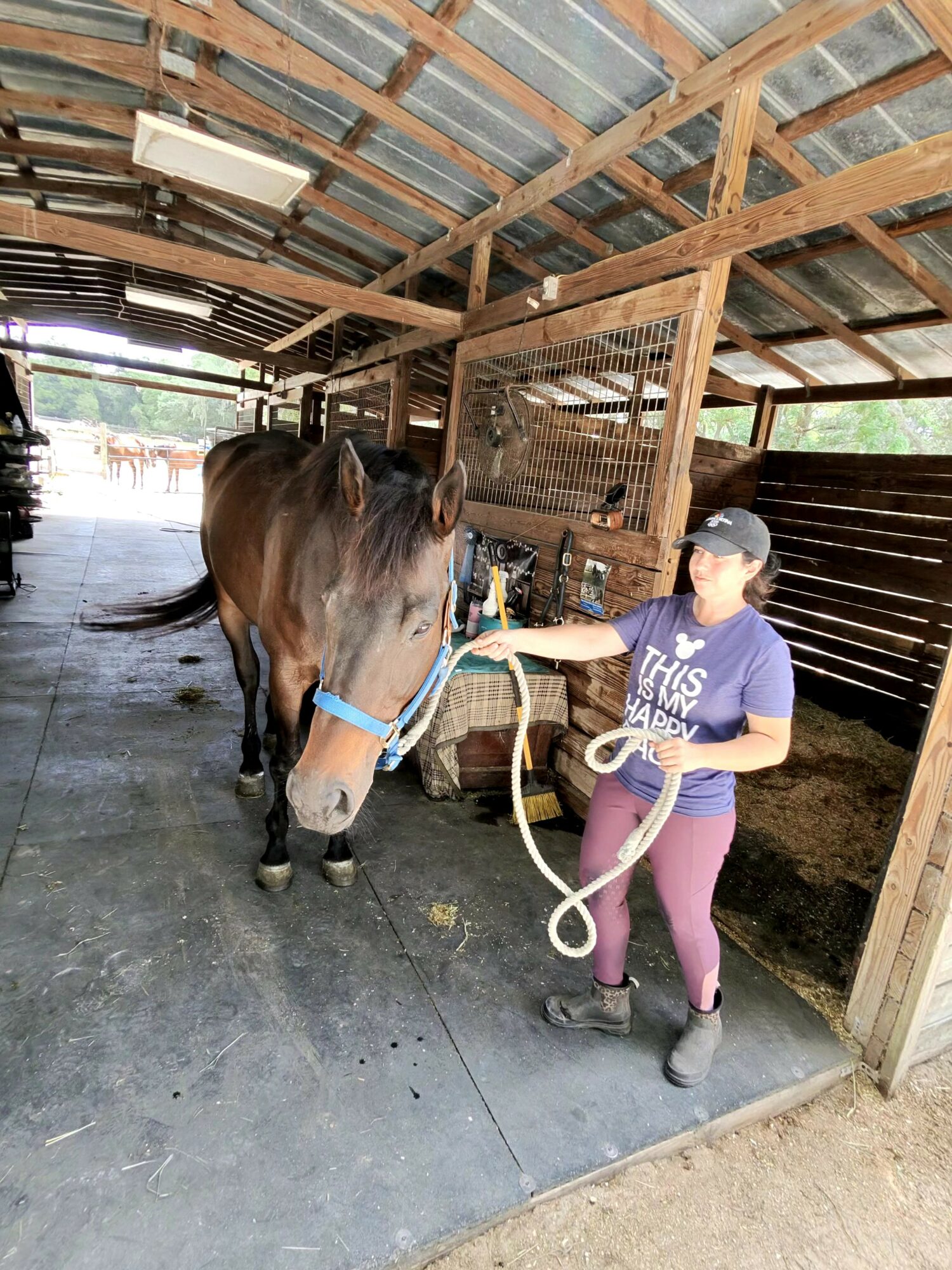 Person in a blue shirt and pink pants holding a horse's lead inside a wooden stable.