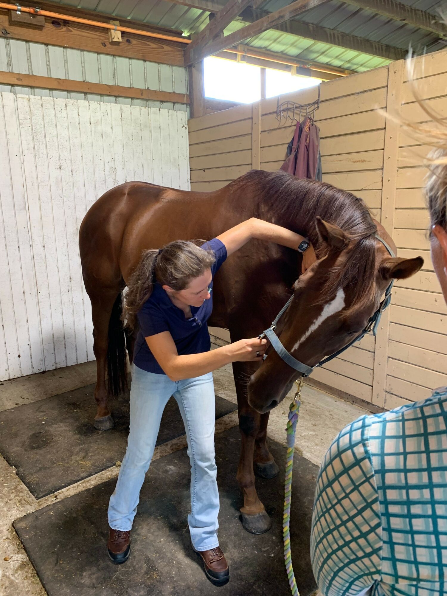 Person hugging a brown horse inside a stable with wooden walls, wearing a blue shirt and light jeans.