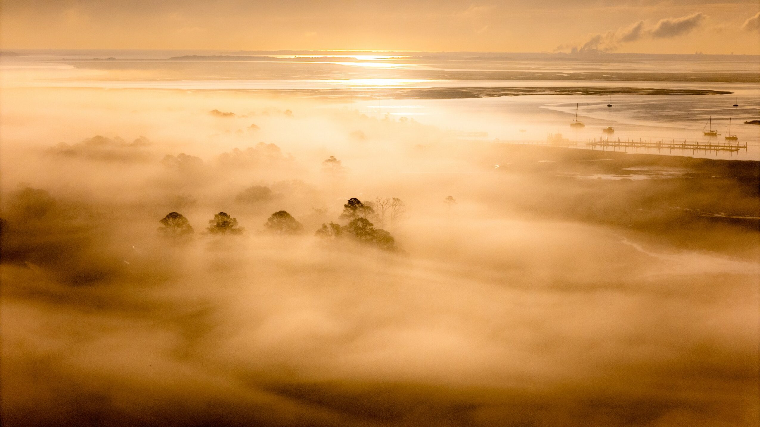 Sunrise over a foggy landscape with trees partially visible through the mist, warm golden tones, expansive view.
