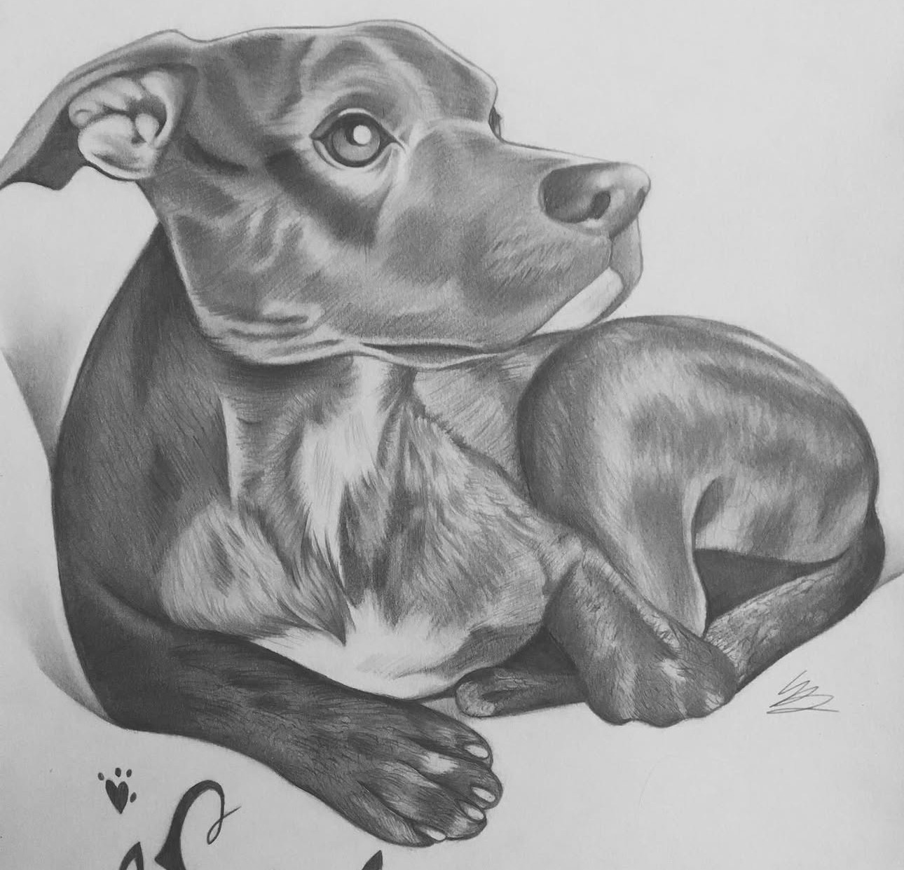 Detailed pencil drawing of a dog lying down, with a focused expression and realistic shading.
