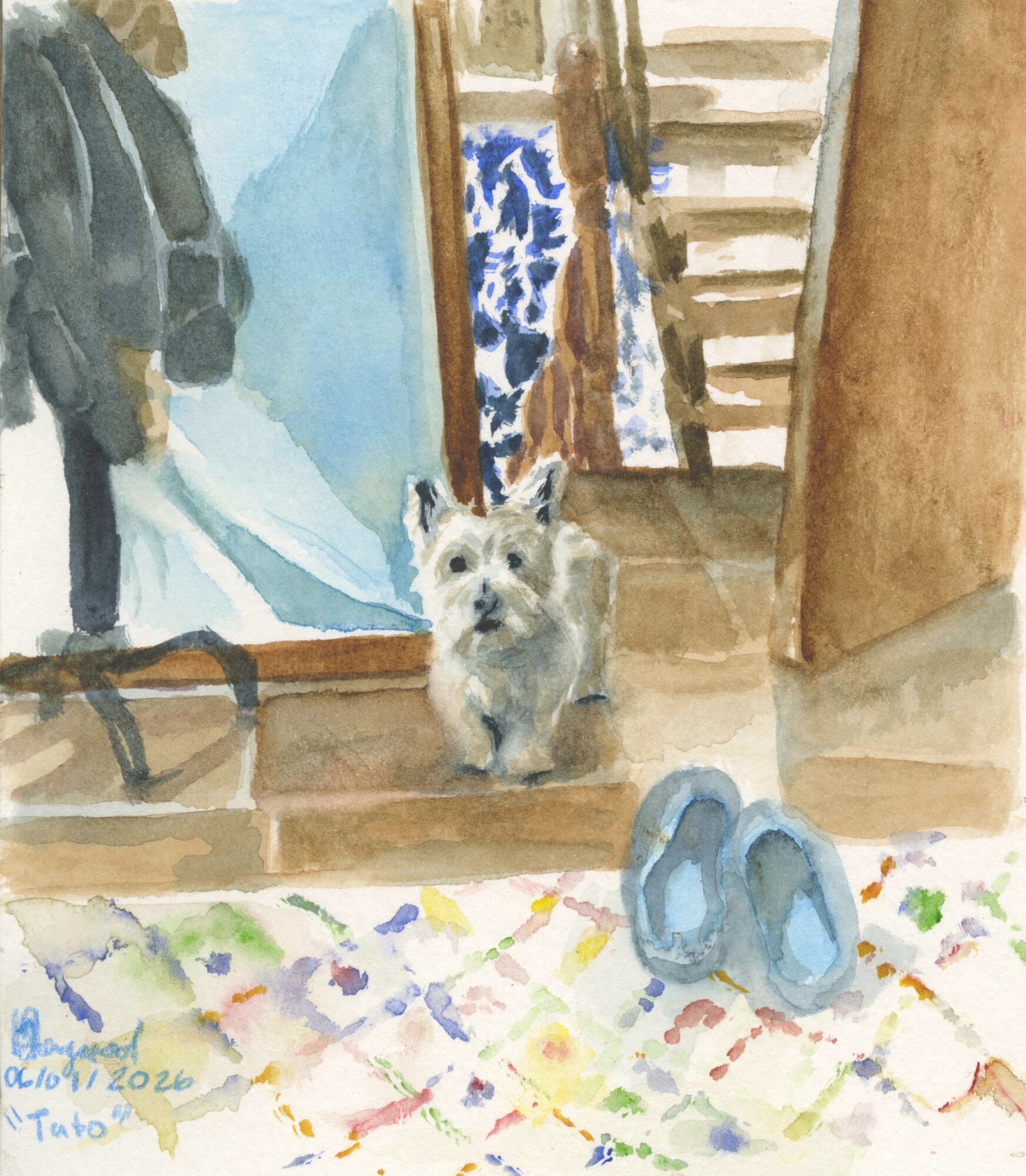 Small dog sitting on a wooden floor near a staircase, with shoes and a colorful rug nearby.