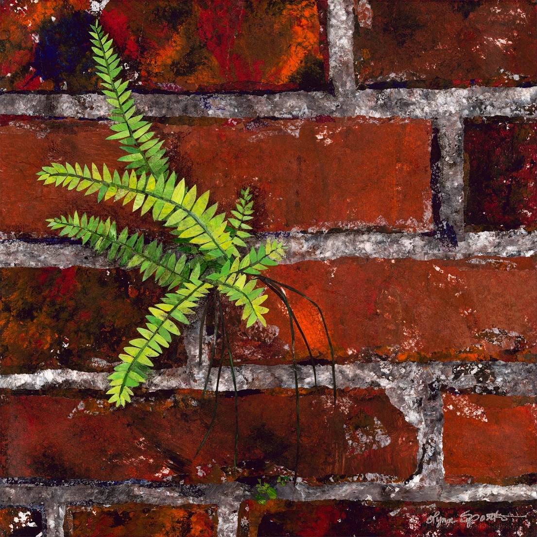 Green fern plant growing on a red brick wall, with visible mortar lines.