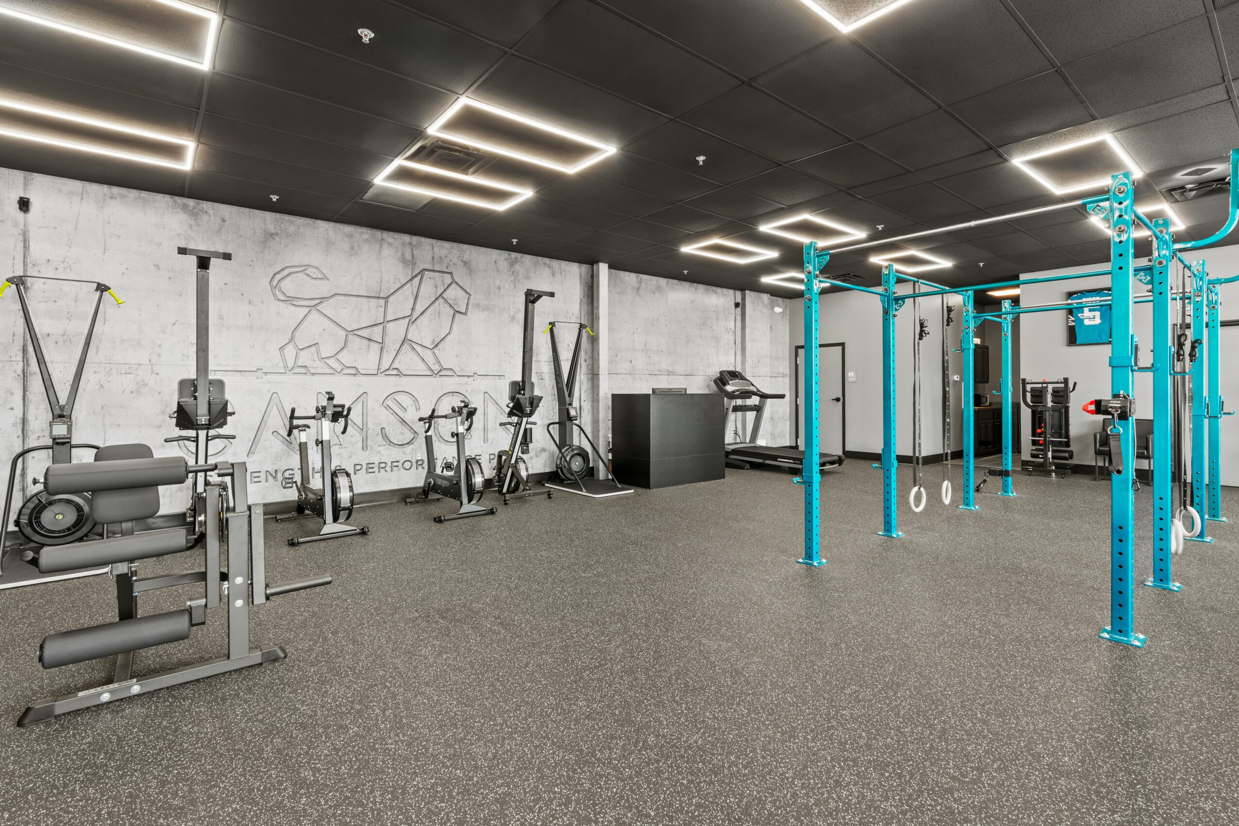 Gym with workout equipment, blue pull-up bars, black ceiling with square lights, white wall with graffiti, gray carpeted floor