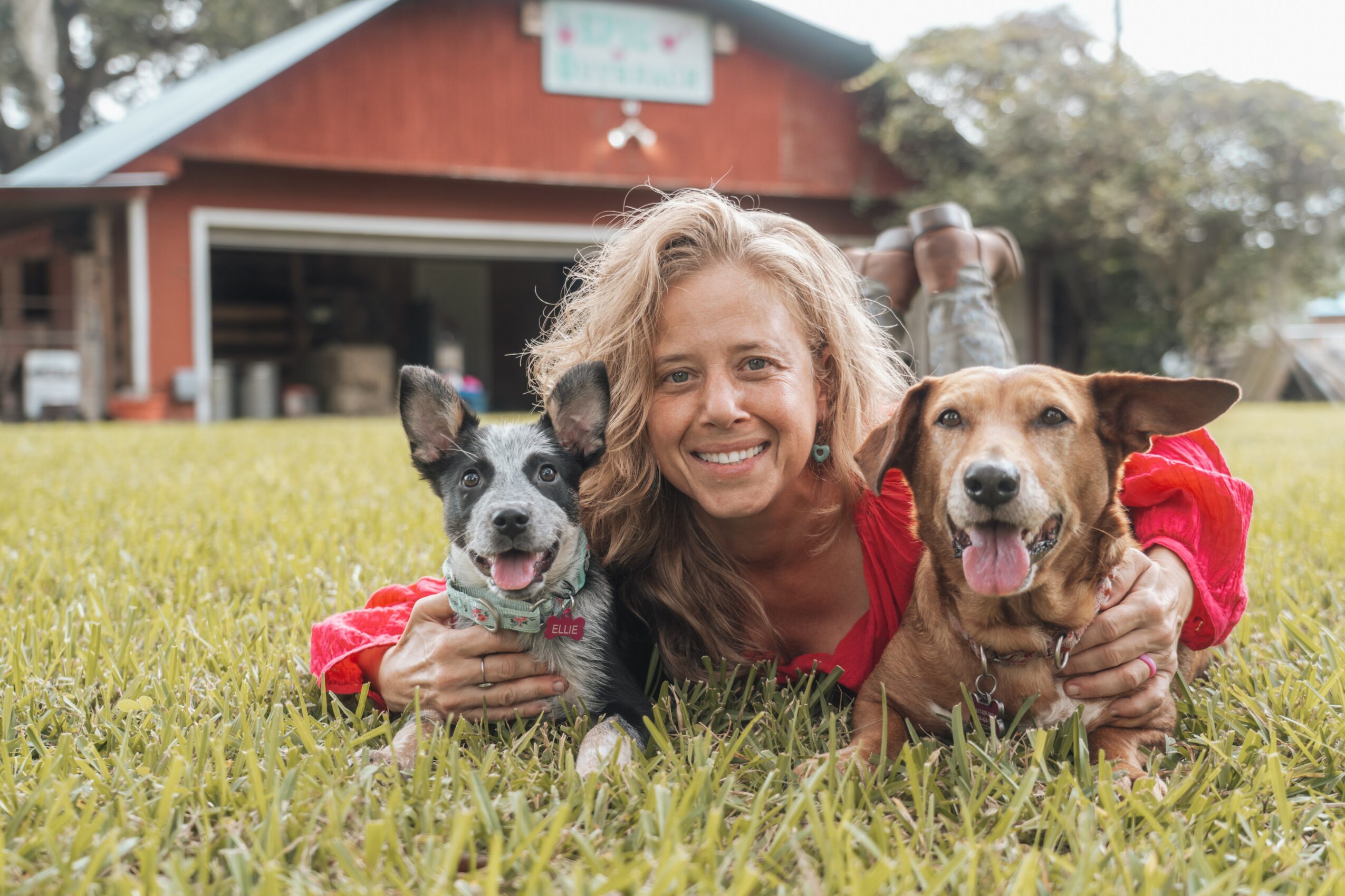 Woman lying on grass with two dogs outdoors, smiling, with a building in the background.