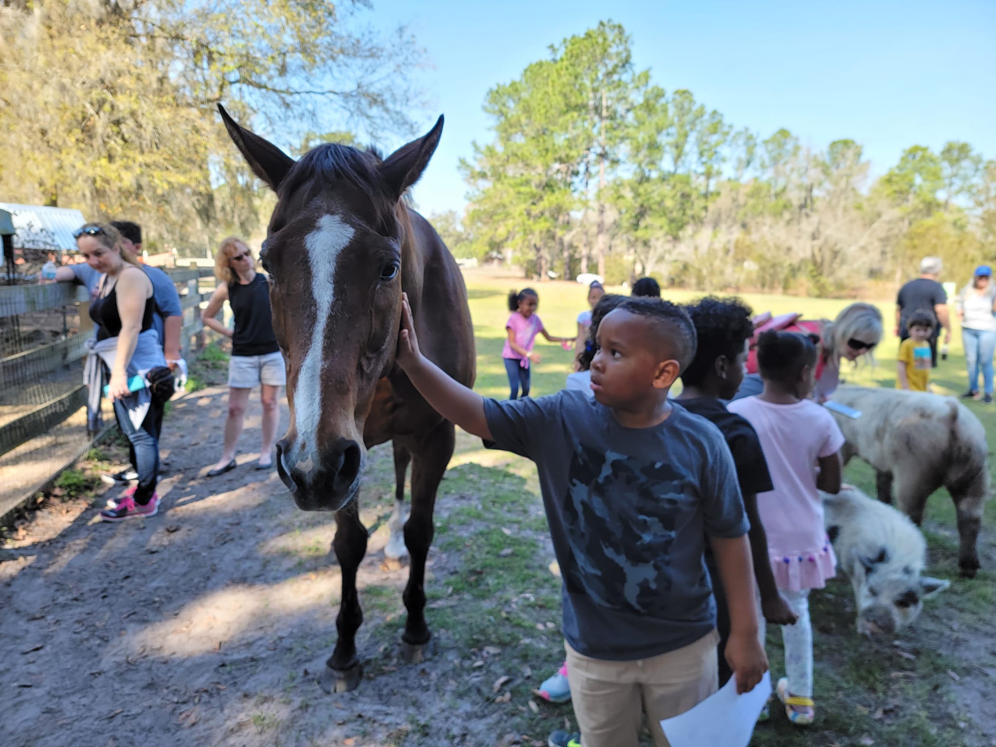 Child petting a horse in a farm setting with other children and animals nearby, trees and blue sky in background.