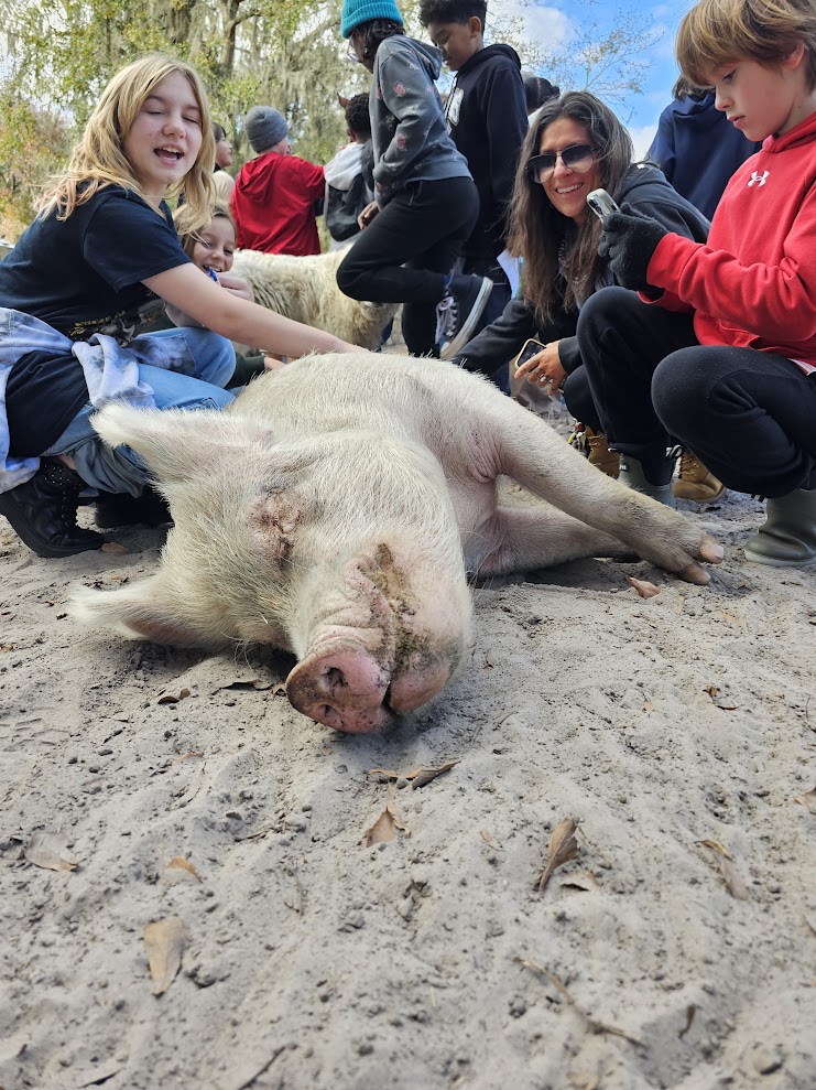 Group of children and a woman gathered around a large, lying pig on sandy ground outdoors, smiling and interacting.