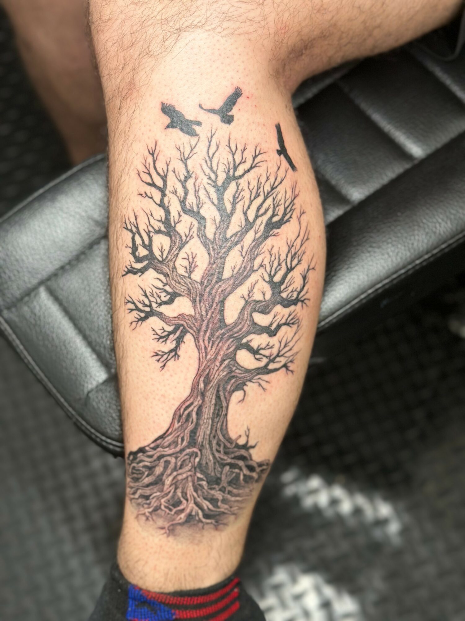 Tree tattoo with birds on branches on person's leg, sitting on a black surface, with a red and blue sock visible.