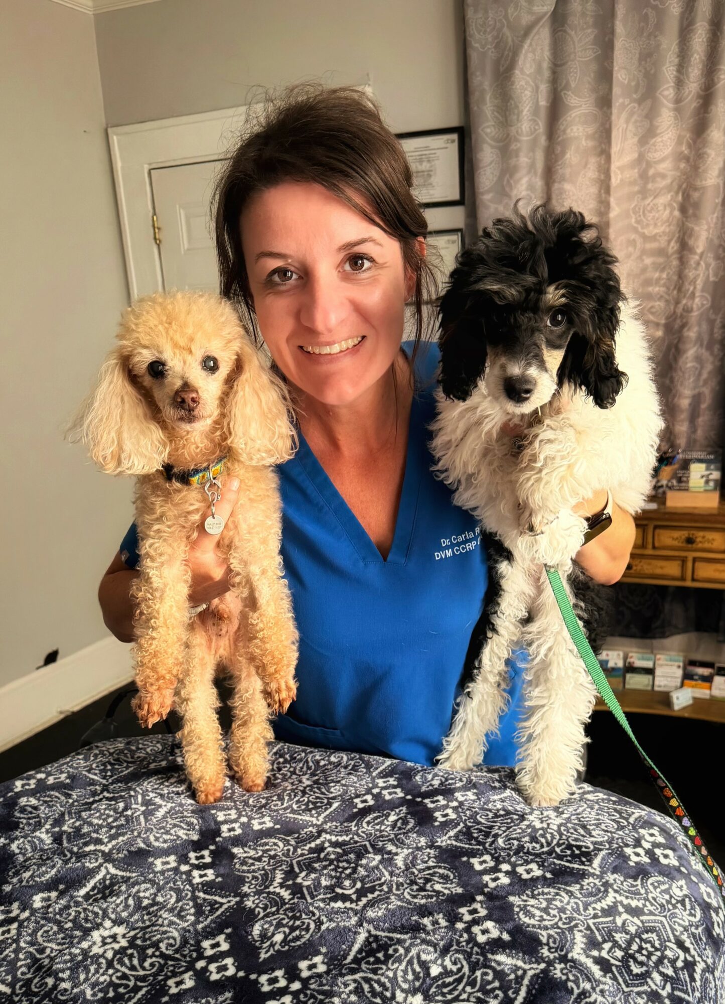 Woman holding two poodle dogs, one cream-colored and one black and white, smiling indoors.