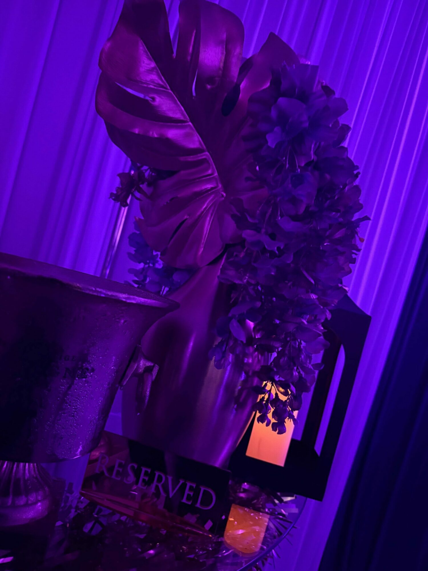 A bouquet of flowers in a glass vase with a purple ribbon, illuminated by purple lighting, with a blurred background.