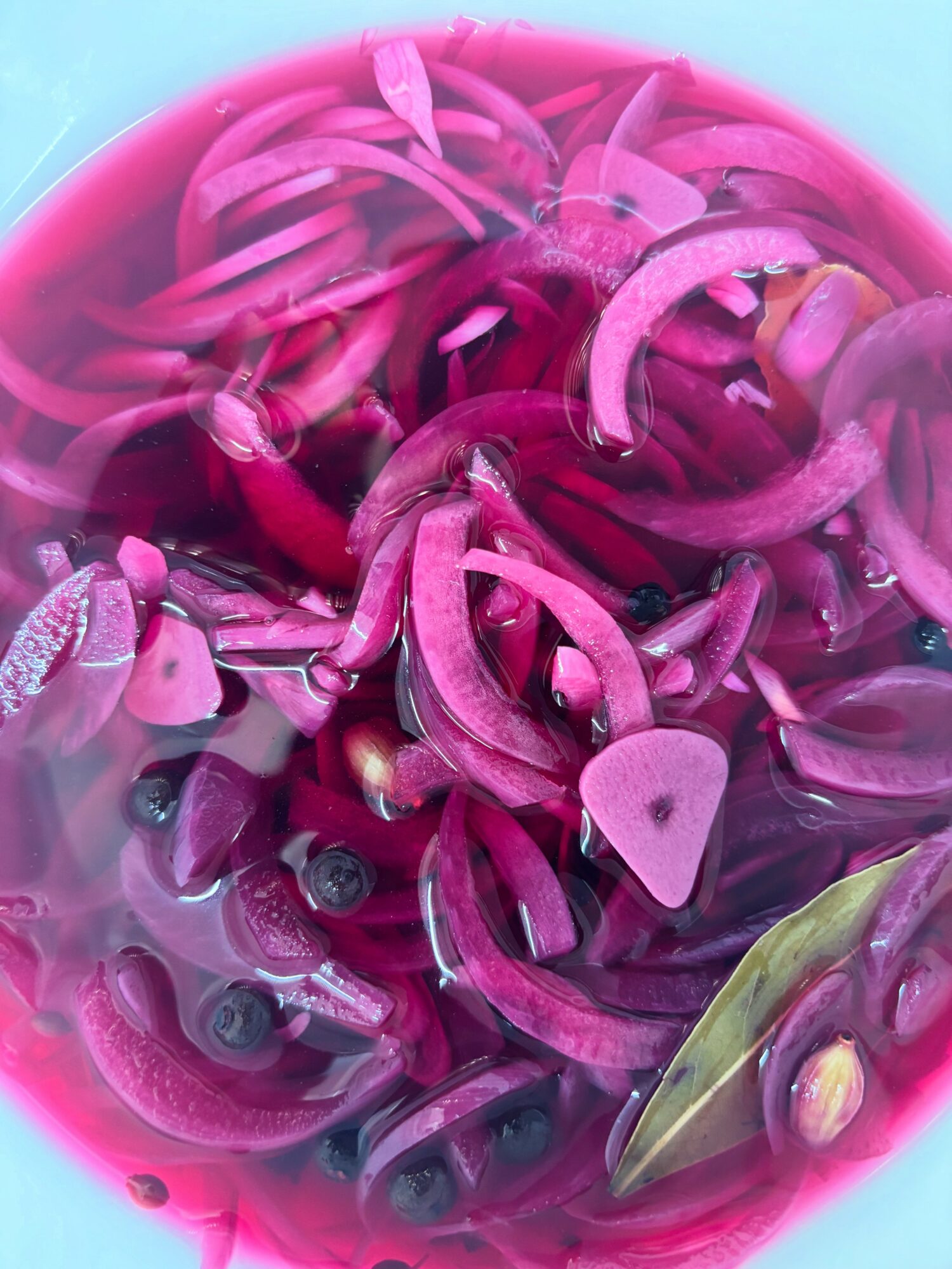 Close-up of a bowl of pickled red onions with blueberries and a green leaf, vibrant colors, glossy surface.