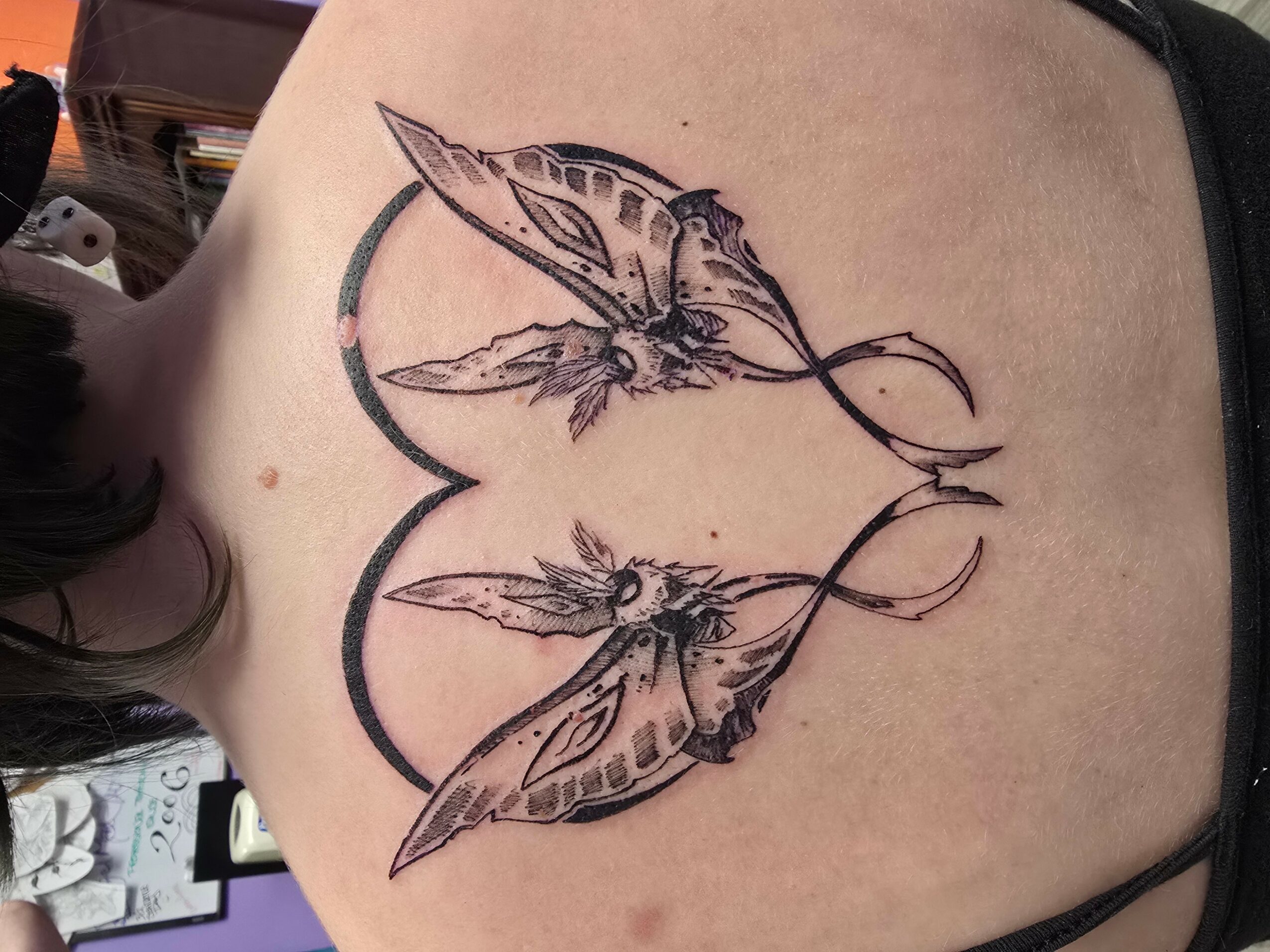 Tattoo of two moths facing each other with wings spread, connected by a curved line, on person's chest.