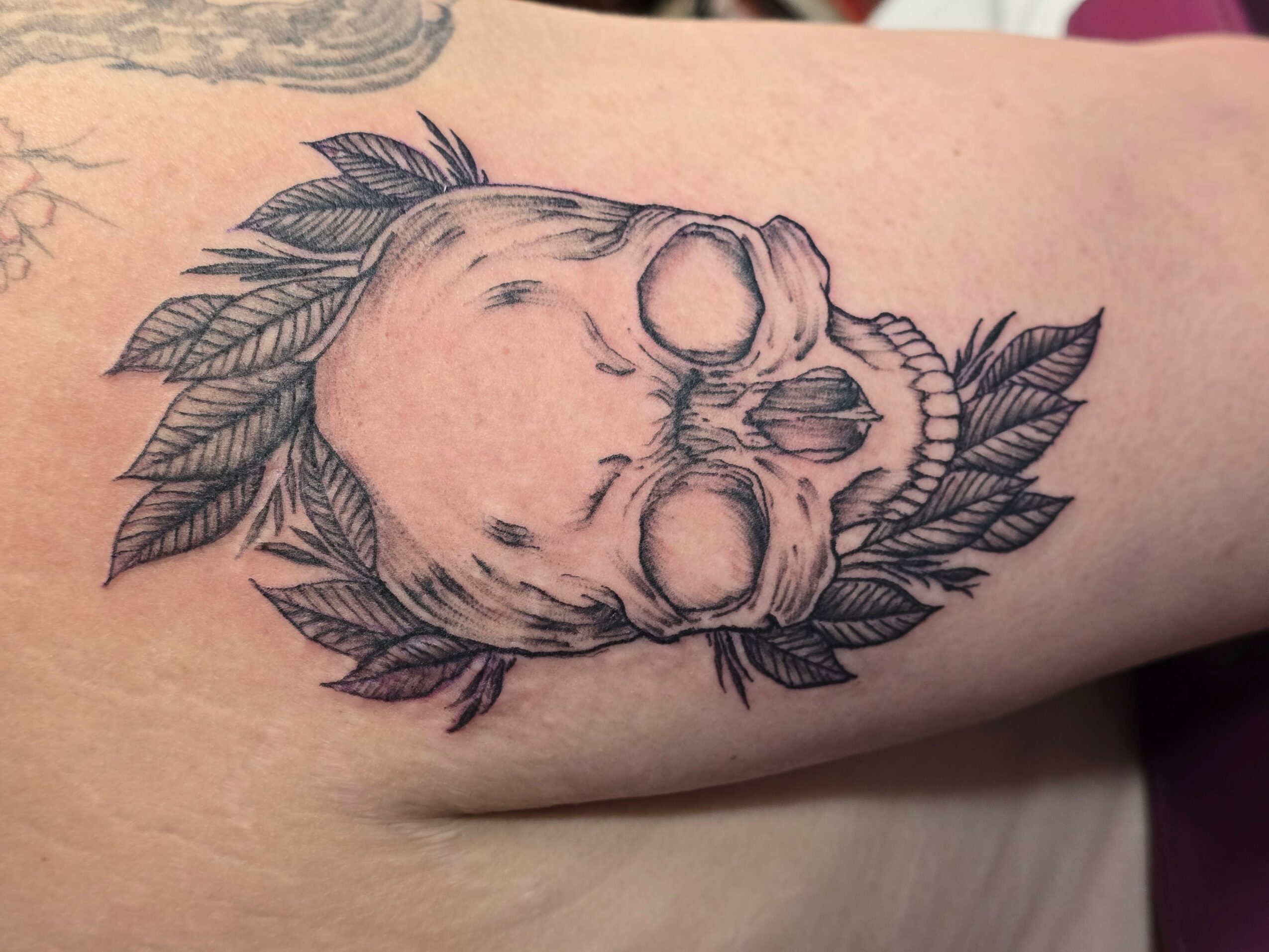 Tattoo of a skull with leaves surrounding it on skin, facing upward, detailed line work, black ink.